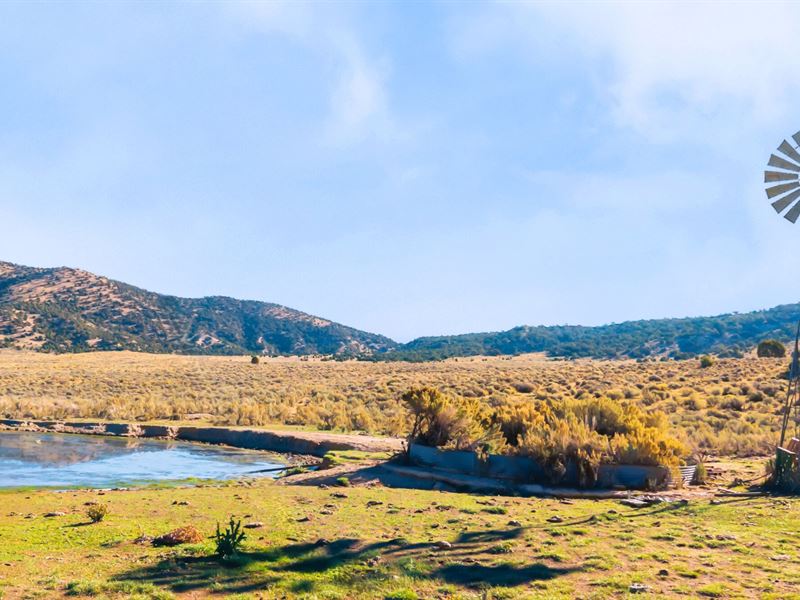 3D Mountain Ranch : Maybell : Moffat County : Colorado