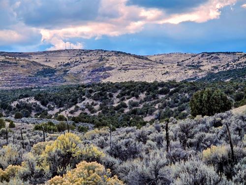 3D Mountain Ranch : Maybell : Moffat County : Colorado