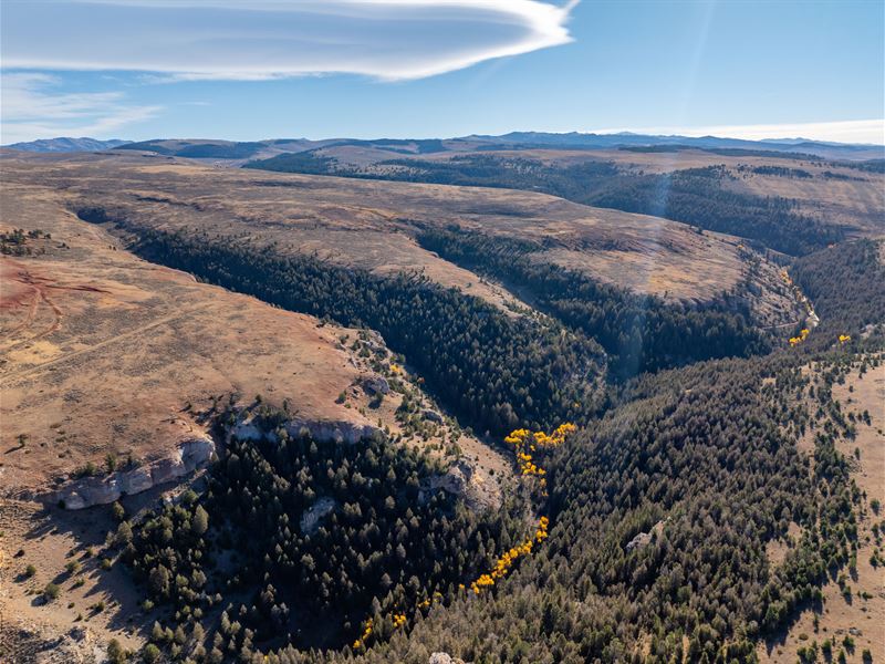 Bighorn Mountain Hideout : Shell : Big Horn County : Wyoming
