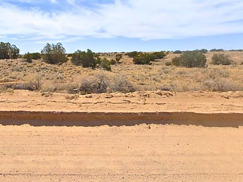 Peaceful Acre with Good Road Access : Rio Rancho : Sandoval County : New Mexico