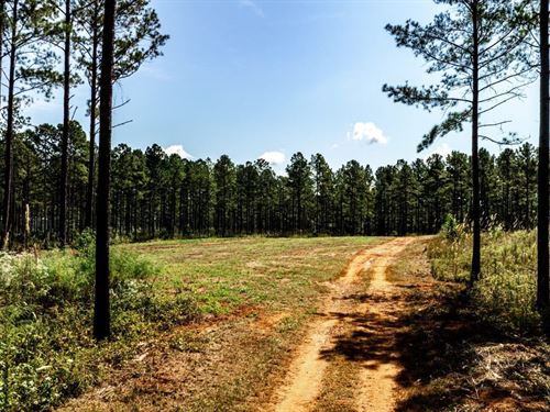 Yellow Creek Timber Farm : Forsyth : Monroe County : Georgia