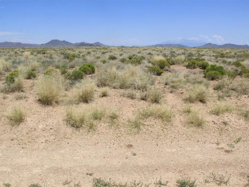 Lovely 4.76-Acre Buildable Lot : San Luis : Costilla County : Colorado