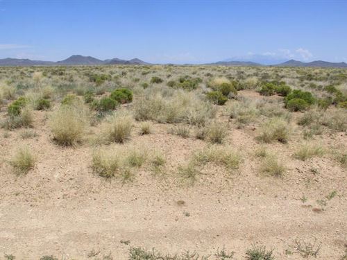 Lovely 4.76-Acre Buildable Lot : San Luis : Costilla County : Colorado
