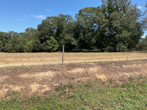Chapel Hill Road, 4 Acres : Rutledge : Crenshaw County : Alabama