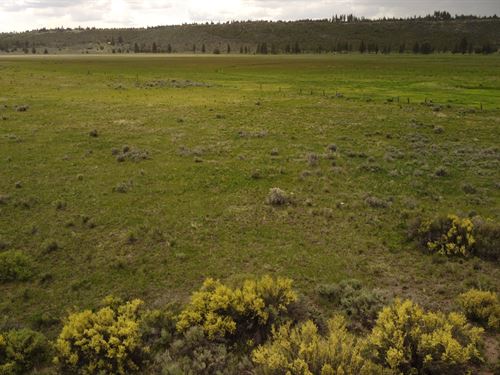 1.47 Acres Near Wetlands : Chiloquin : Klamath County : Oregon