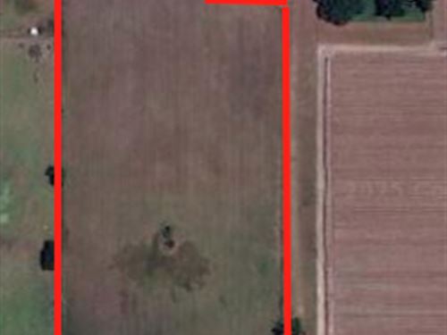 Absolute Auction, Plant City, FL : Plant City : Hillsborough County : Florida