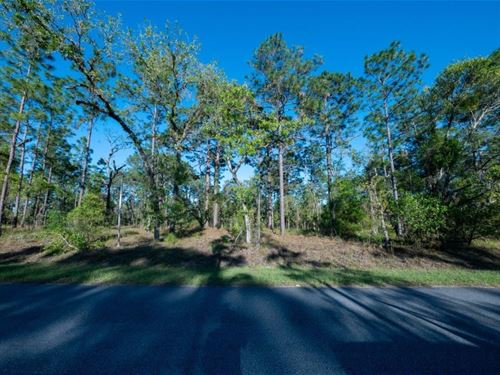 Introducing The Perfect Oasis : Dunnellon : Marion County : Florida