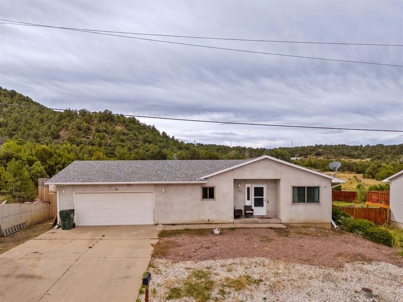 1106 Alamo St, Trinidad, Co 81082 : Trinidad : Las Animas County : Colorado