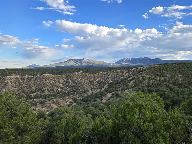3 Colorado Land & Livestock Cc : Gardner : Huerfano County : Colorado