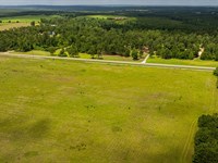 5 Acre Homesite Opportunity in Deat : Deatsville : Autauga County : Alabama