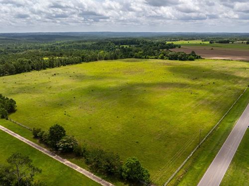 6 Acre Homesite Opportunity in Deat : Deatsville : Autauga County : Alabama