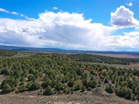 The S & W Ranch : Tierra Amarilla : Rio Arriba County : New Mexico
