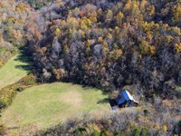 Large Timber / Hunting Tract : Woodbury : Cannon County : Tennessee