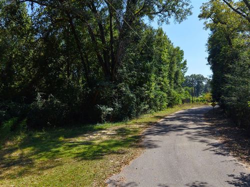 4 Acre Lot In Crenshaw County, AL : Dozier : Crenshaw County : Alabama