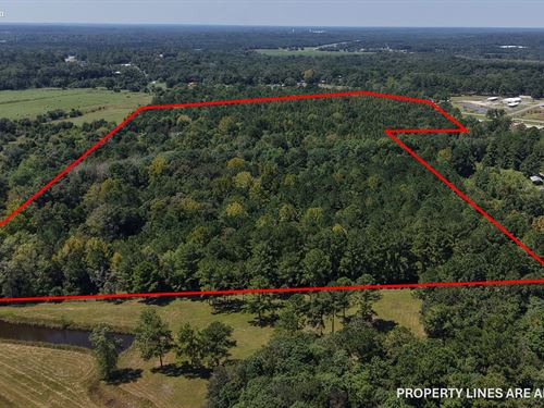 53.58 Acres In Geneva County, AL : Hartford : Geneva County : Alabama