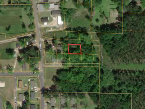 .19 Acre Lot In Crenshaw County : Luverne : Crenshaw County : Alabama