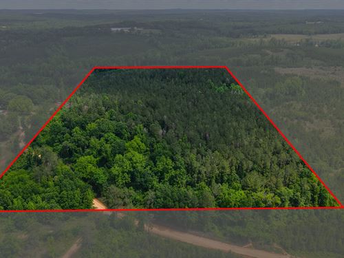 24.04 Acres In Crenshaw County, AL : Highland Home : Crenshaw County : Alabama