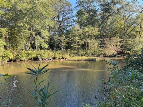 Enitachopco Creek Lot : Alexander City : Tallapoosa County : Alabama