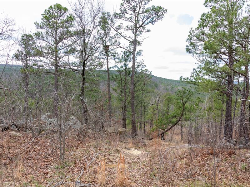 Off Grid Hunting Land : Kinta : Latimer County : Oklahoma