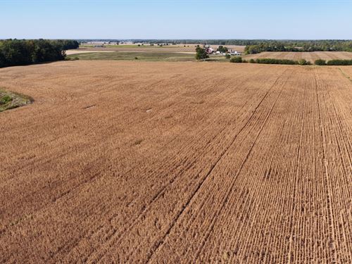 Farmland in Clinton County, In : Mulberry : Clinton County : Indiana
