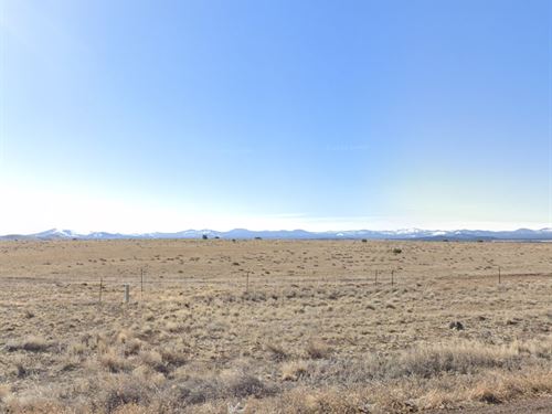 Freedom and Fresh Air in Show Low : Concho : Apache County : Arizona