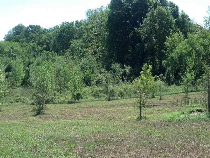 Greenfield Farms, 6.11 Acres : Tn : Coffee County : Tennessee