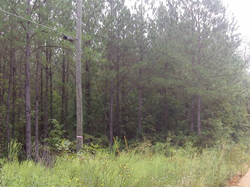 Keysville Farms, 3.10 Acres : Ga : Burke County : Georgia