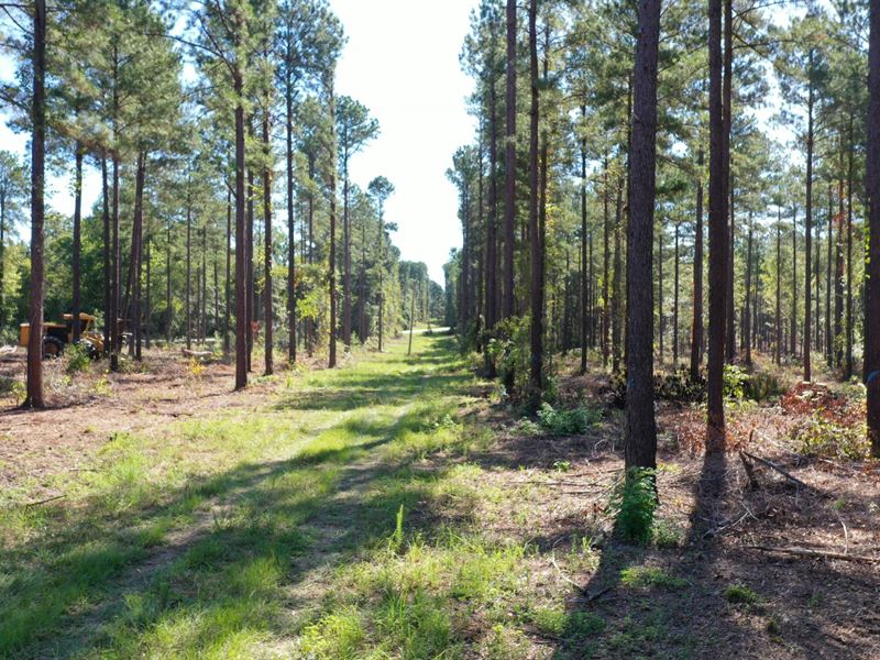 O'quinns Pond Farm, 5.0 Acres : Ga : Baldwin County : Georgia