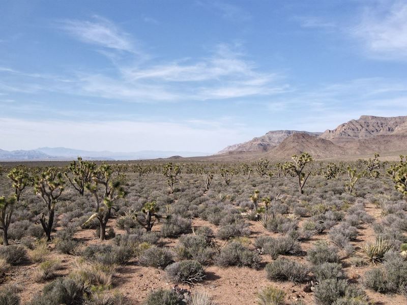 5 Acres Bordering 640 : Meadview : Mohave County : Arizona