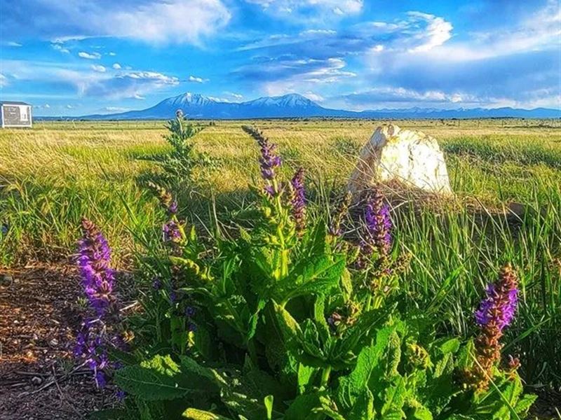 Chicosa Drive Lot 174, Walsenbu : Walsenburg : Huerfano County : Colorado