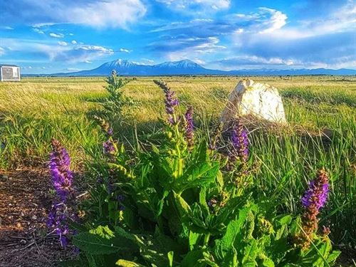 Chicosa Drive Lot 174, Walsenbu : Walsenburg : Huerfano County : Colorado