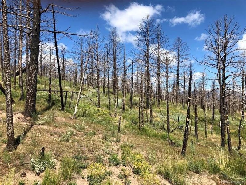 323 Wagon Mesa Loop, Ft Garland : Fort Garland : Costilla County : Colorado