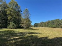 43 Acres On Highway 183 In Pick : Pickens : South Carolina