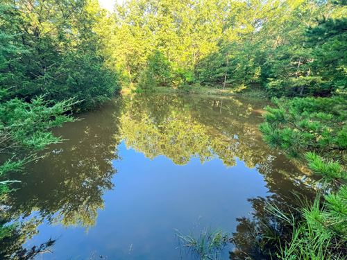 Spring Creek 40 : Willow Springs : Howell County : Missouri