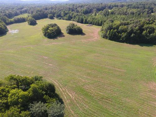 Spring Valley 115 Acres : Tuscumbia : Colbert County : Alabama