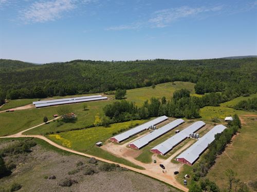 England Broiler & Cattle Farm : Lineville : Clay County : Alabama