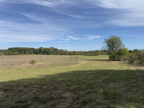 Land Auction, Hillsdale Co MI : Camden : Hillsdale County : Michigan