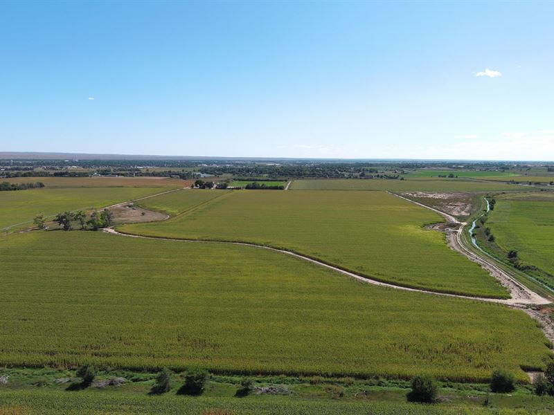 A.H. Tetsell Irrigated Land Auction : Sterling : Logan County : Colorado