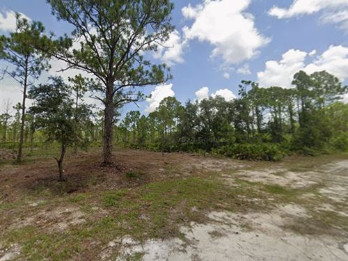 Build Near The FL Gulf Coast : Punta Gorda : Charlotte County : Florida