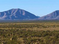 Texas 20 Acres No HOA or Zoning : Sierra Blanca : Hudspeth County : Texas