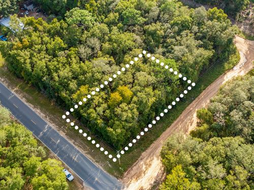 Corner Lot Near Lake Grandin : Interlachen : Putnam County : Florida