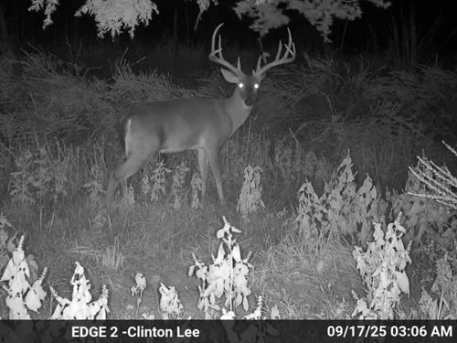 120 Acres, Paved Road Frontag : Clinton : Van Buren County : Arkansas