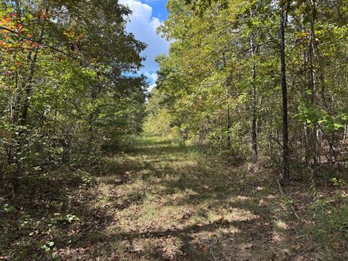 120 Acres, Paved Road Frontag : Clinton : Van Buren County : Arkansas