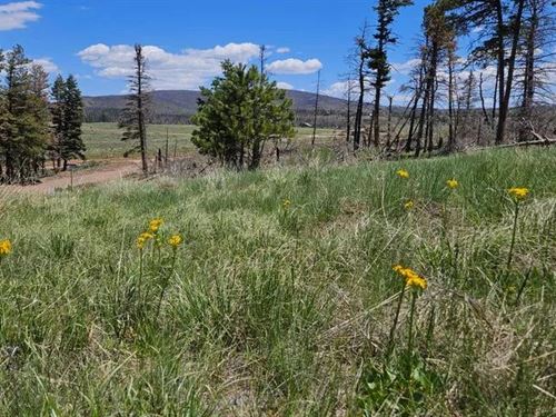 448 Wagon Mesa Loop, Ft Garland : Fort Garland : Costilla County : Colorado