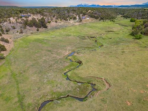 81.44 Acres in Norwood, Colorado : Norwood : Montrose County : Colorado