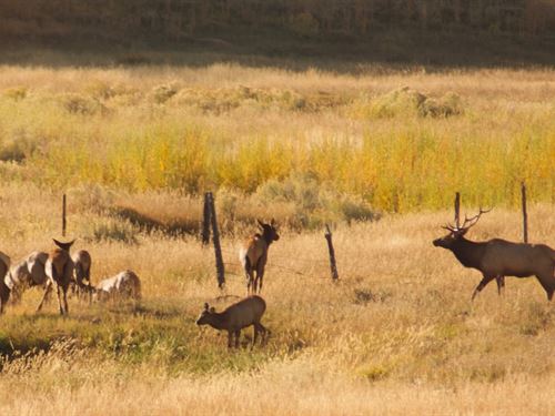 81.44 Acres in Norwood, Colorado : Norwood : Montrose County : Colorado