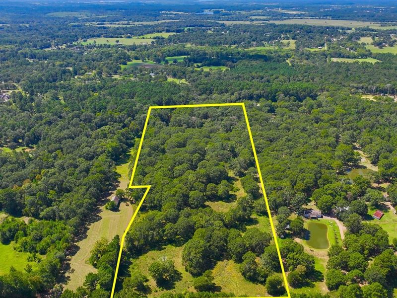 15 Acres, Mount Zion Road : New Waverly : Montgomery County : Texas