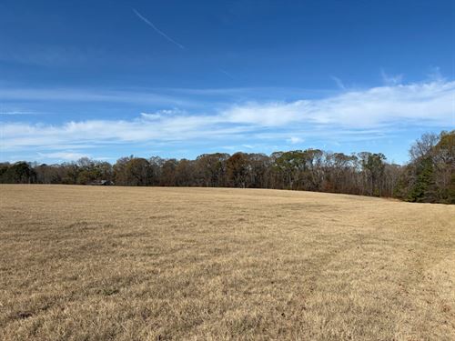 Yellow Creek Timber Farm West : Forsyth : Monroe County : Georgia