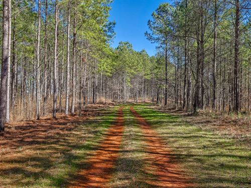 Yellow Creek Timber Farm West : Forsyth : Monroe County : Georgia