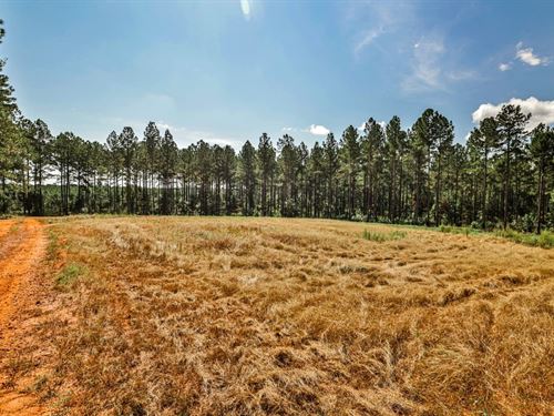 Yellow Creek Timber Farm East : Forsyth : Monroe County : Georgia